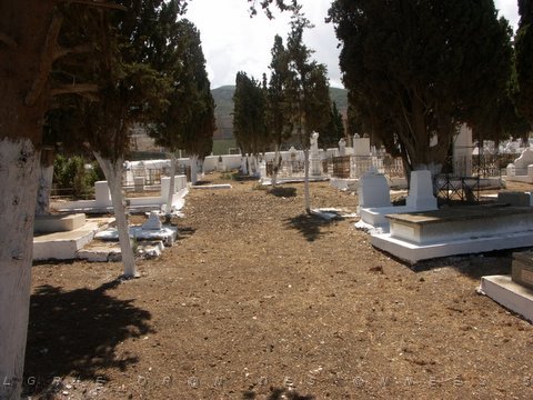 BOU SFER CIMETIERE 2006  N07 ENTRETENU.JPG